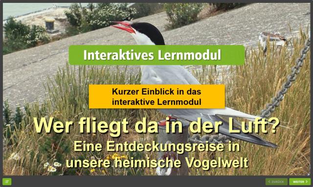 Wer fliegt da in der Luft - Kurzvorschau des Lernmoduls